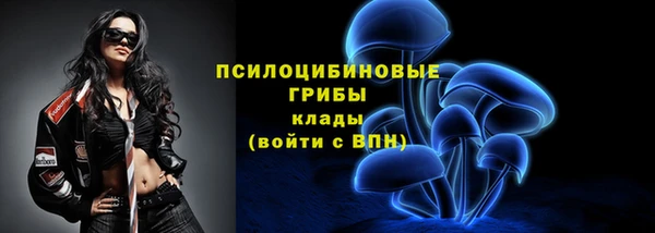 ГАЛЛЮЦИНОГЕННЫЕ ГРИБЫ Алексеевка