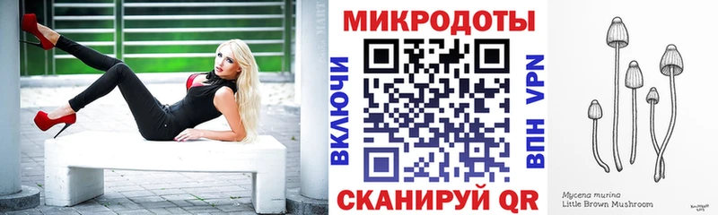 Галлюциногенные грибы прущие грибы  Венёв 
